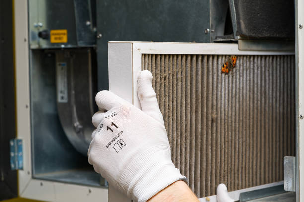 Best Affordable Air Duct Cleaning  in Charlestown, MD